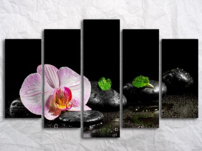 Лот: 15481640. Фото: 1. Модульная картина Орхидея на камнях... Произведения