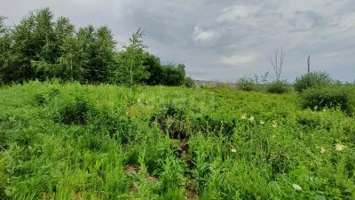 Лот: 25285848. Фото: 1. участок , ДНТ Большевик ДНТ Большевик... Земельные участки