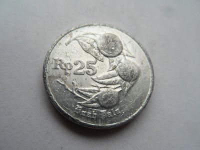 Лот: 10081998. Фото: 1. Индонезия 25 рупий 1993. Азия