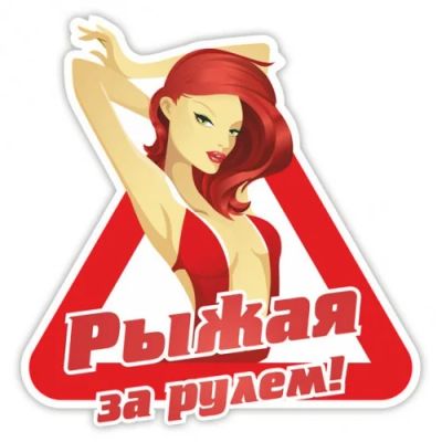 Лот: 4190128. Фото: 1. Виниловая наклейка на авто машину... Детали тюнинга