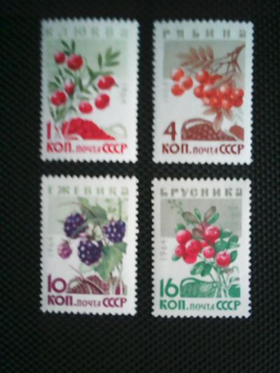 Лот: 11905516. Фото: 1. СССР 1964. Ягоды. Марки