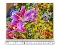 Лот: 8167079. Фото: 1. Часы 30*40 холст "Яркая лилия". Часы настенные, настольные