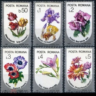 Лот: 10916979. Фото: 1. Полная серия из 6-ти марок Румынии... Открытки, конверты