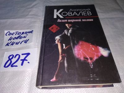 Лот: 13488885. Фото: 1. Визит шаровой молнии, Ковалев... Художественная