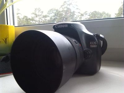 Лот: 4029196. Фото: 1. Canon EOS 1100D + 18-55kit + 50mm... Цифровые зеркальные