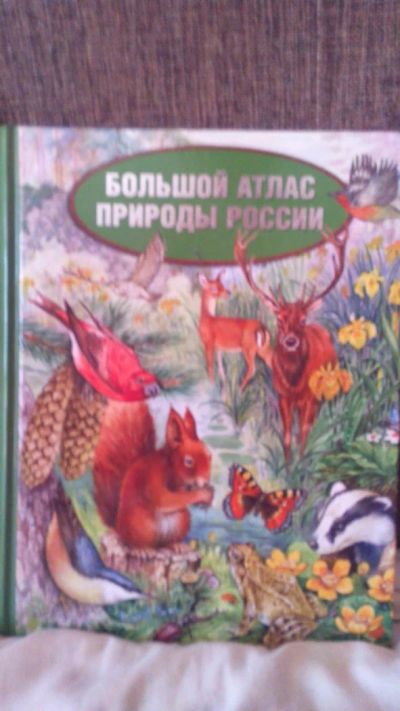 Лот: 7182864. Фото: 1. Энциклопедия Атлас природы России. Энциклопедии