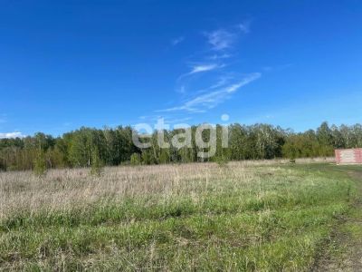 Лот: 25297276. Фото: 1. участок , садовые участки Штаны... Земельные участки