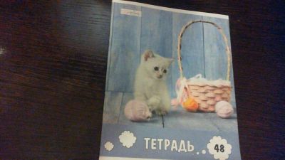 Лот: 11968866. Фото: 1. тетрад 48 листов. Тетради, альбомы
