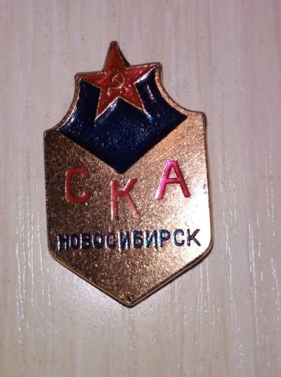 Лот: 12853005. Фото: 1. Ска Новосибирск. Другое (значки, медали, жетоны)