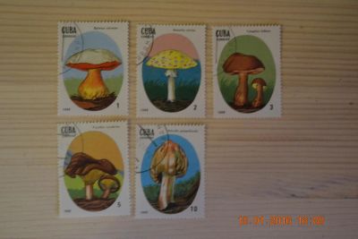 Лот: 6772163. Фото: 1. Марки Кубы 1988г. Грибы. Марки