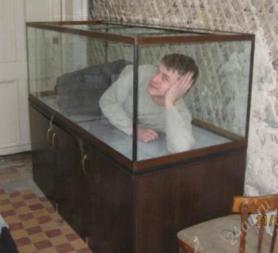 Лот: 2537025. Фото: 1. аквариум 714л с тумбой.!. Аквариумы, террариумы