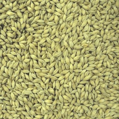 Лот: 7247780. Фото: 1. Солод Пилснер, ячменный светлый... Крупы, сыпучие продукты