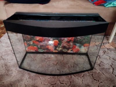 Лот: 11402617. Фото: 1. Аквариум. Аквариумы, террариумы