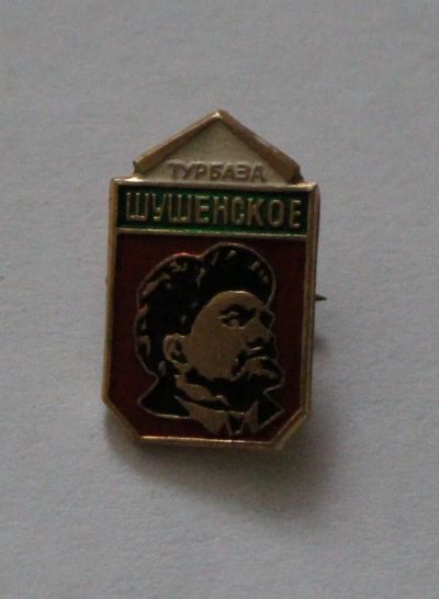 Лот: 11789606. Фото: 1. Значок: Турбаза Шушенское. Ленин... Сувенирные