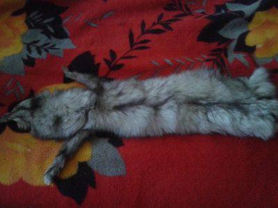 Лот: 4759771. Фото: 1. мех песца. Головные уборы