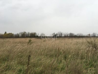 Лот: 25292635. Фото: 1. участок , Сосновоборск Сосновоборск... Земельные участки