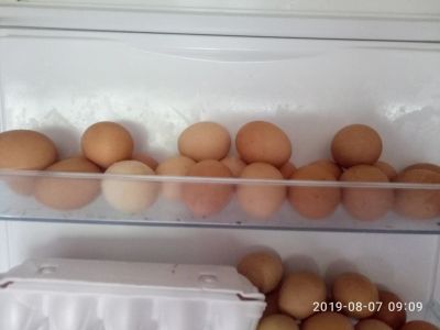 Лот: 14331071. Фото: 1. яйцо куринное отборное домашнее. Мясо, птица, яйцо