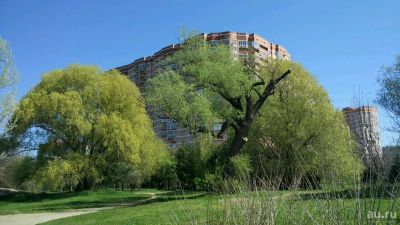 Лот: 9837909. Фото: 1. Недвижимость Сочи, Адлер, Краснодар... Квартиры, студии