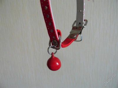 Лот: 2162507. Фото: 1. ошейник для кошки или мал.собачки... Ошейники, одежда, конное снаряжение