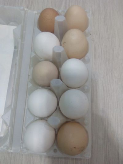 Лот: 19175622. Фото: 1. Яйцо куриное домашнее 1 дес. Мясо, птица, яйцо