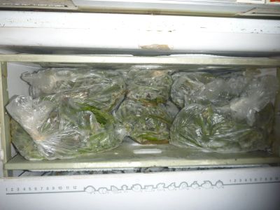 Лот: 11738228. Фото: 1. Папоротник орляк замороженый. Овощи, фрукты, зелень