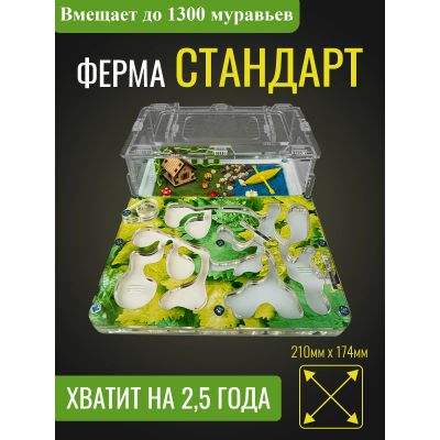 Лот: 16920493. Фото: 1. Муравьиная ферма Стандарт Акрило-Гипсовая... Домики, переноски, клетки, когтеточки
