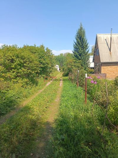 Лот: 23360603. Фото: 1. Дача Новосибирская область, Искитимский... Дома