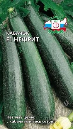 Лот: 968626. Фото: 1. рассада кабачков "нефрит" +" черный... Другое (семена, рассада, садовые растения)