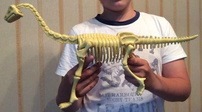 Лот: 7725092. Фото: 1. Детский конструктор " скелет динозавра... Конструкторы