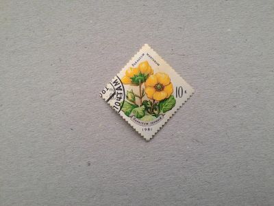 Лот: 14795076. Фото: 1. марка СССР кл 139. Марки