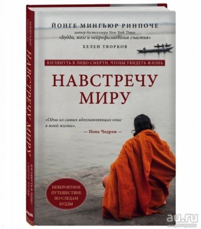 Лот: 18041321. Фото: 1. "Навстречу миру. Невероятное путешествие... Религия, оккультизм, эзотерика