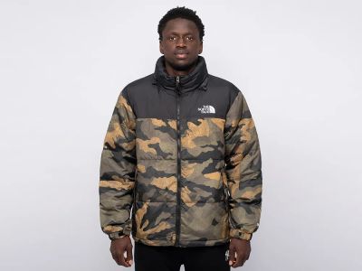 Лот: 24979354. Фото: 1. Куртка зимняя The North Face. Верхняя одежда