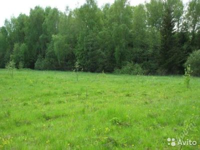 Лот: 10169873. Фото: 1. Продам 30 соток, ИЖС. д.Киндяково... Земельные участки