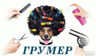 Лот: 8373998. Фото: 1. Стрижка Собак и Кошек, груминг. Другое (животные и уход)