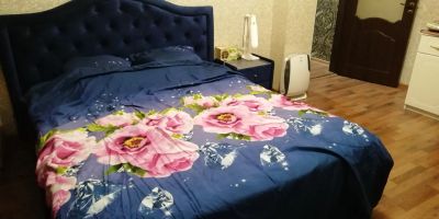 Лот: 19526434. Фото: 1. Постельное белье (синий комплект... Постельное бельё