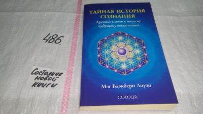 Лот: 10060072. Фото: 1. oz меш. (05..01) Тайная история... Религия, оккультизм, эзотерика