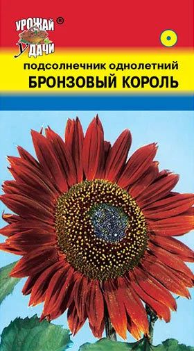 Лот: 9711460. Фото: 1. Рассада подсолнечника декоративного... Садовые цветы