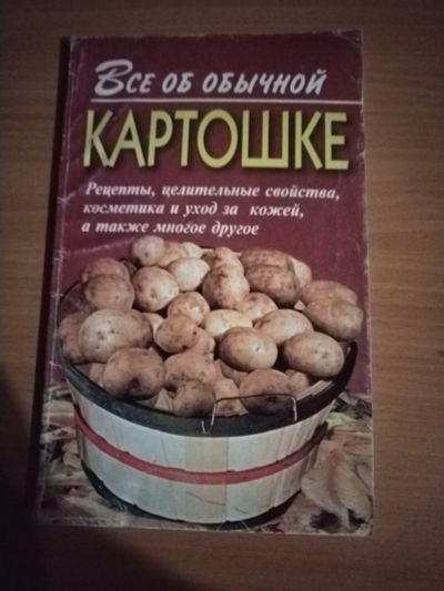 Лот: 25128889. Фото: 1. Книжечка Все об обычной картошке. Кулинария