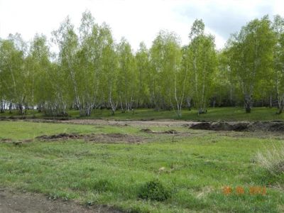 Лот: 5593593. Фото: 1. Под Сосновоборском терентьево. Земельные участки