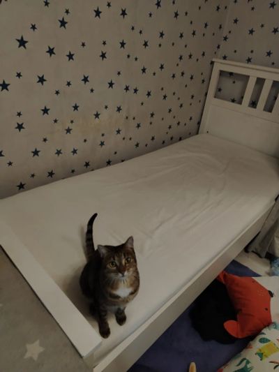Лот: 23961066. Фото: 1. Кровать односпальная Ikea с матрасом. Кровати