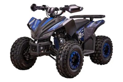 Лот: 25363254. Фото: 1. Квадроцикл YACOTA SportY XX. Снегоходы, квадроциклы