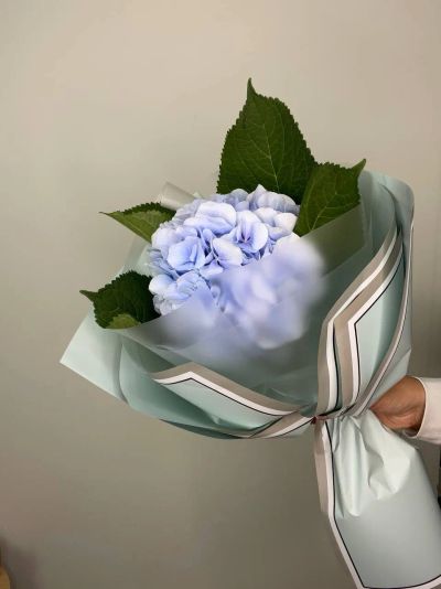 Лот: 25707771. Фото: 1. Букет с гортензией. Свежие цветы