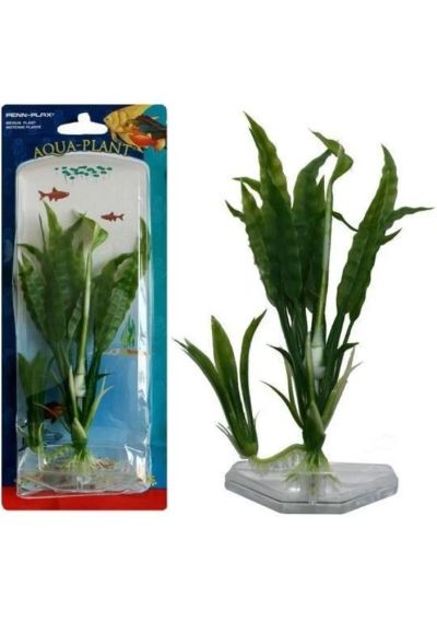 Лот: 6396773. Фото: 1. Растение PENN-PLAX Flowering Crupt... Водные растения