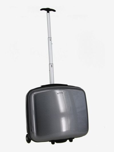 Лот: 25687806. Фото: 1. Чемодан Рион+ (RION+), Серебряный. Другое (спортивная одежда)