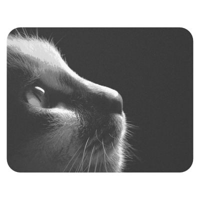 Лот: 25430979. Фото: 1. Коврик для мыши Hi Black Kitten... Коврики