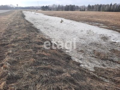 Лот: 25296007. Фото: 1. участок , деревня Подолка деревня... Земельные участки