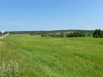 Лот: 25518738. Фото: 1. Участок 18 га.под покос. Земельные участки