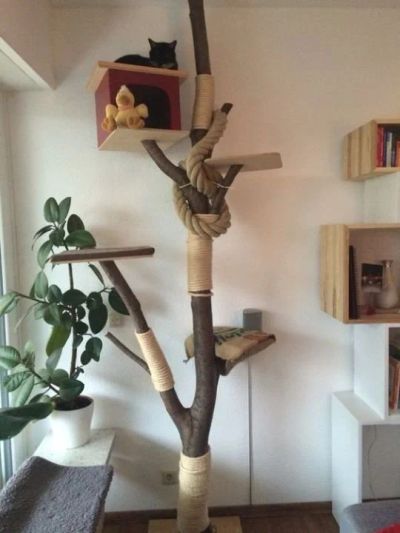 Лот: 15565099. Фото: 1. Игровой комплекс из натурального... Домики, переноски, клетки, когтеточки