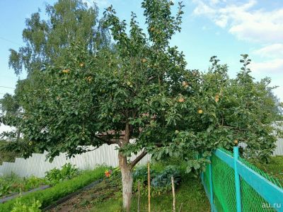 Лот: 10475874. Фото: 1. Продам дом. Земельные участки