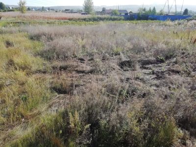 Лот: 14542252. Фото: 1. участок. Земельные участки